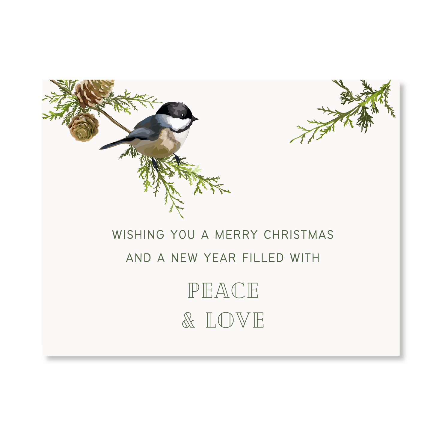 Chickadee on Pine Branch Note Cards