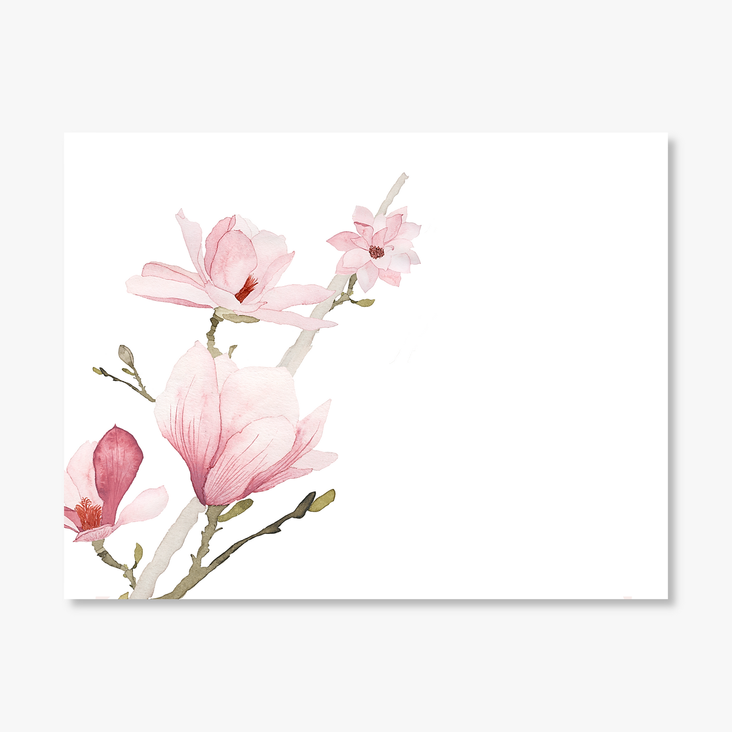 Pink Magnolia Personalized Note Cards