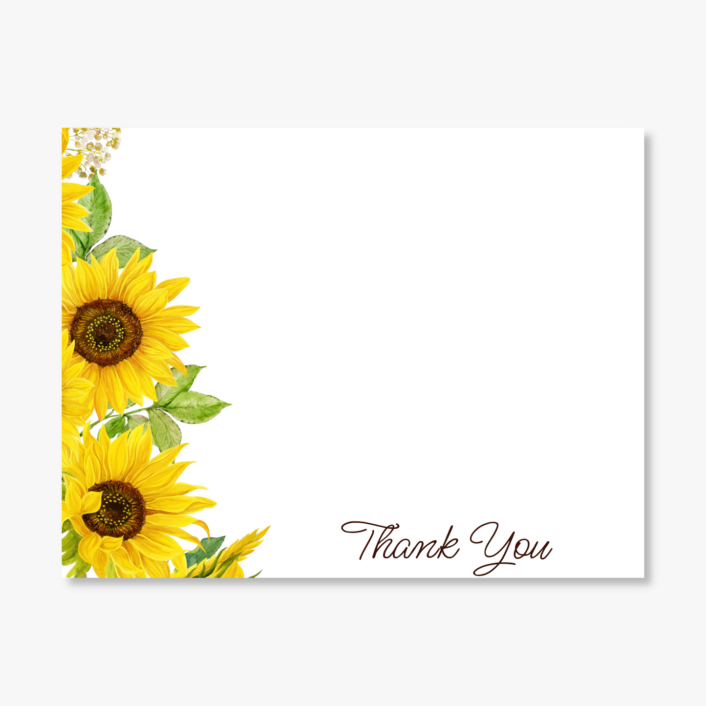 Bold Sunflower Border Flat Note Card Set