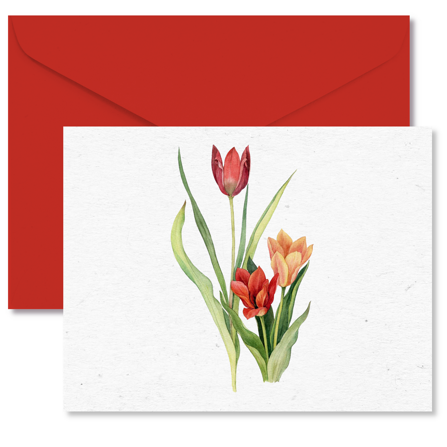 Antique Tulip Bouquet Botanical Note Cards
