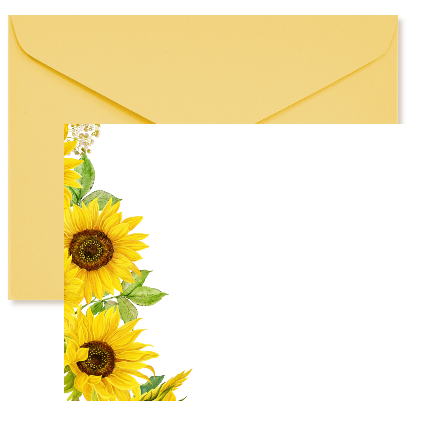 Bold Sunflower Border Flat Note Card Set
