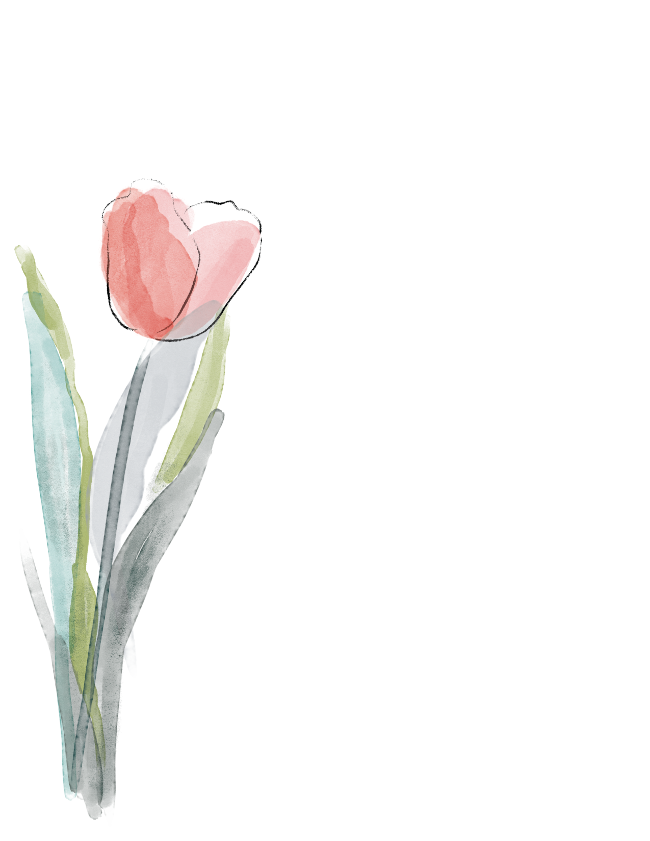 Line Art Watercolor Pink Tulip Note Pad | 50 sheets