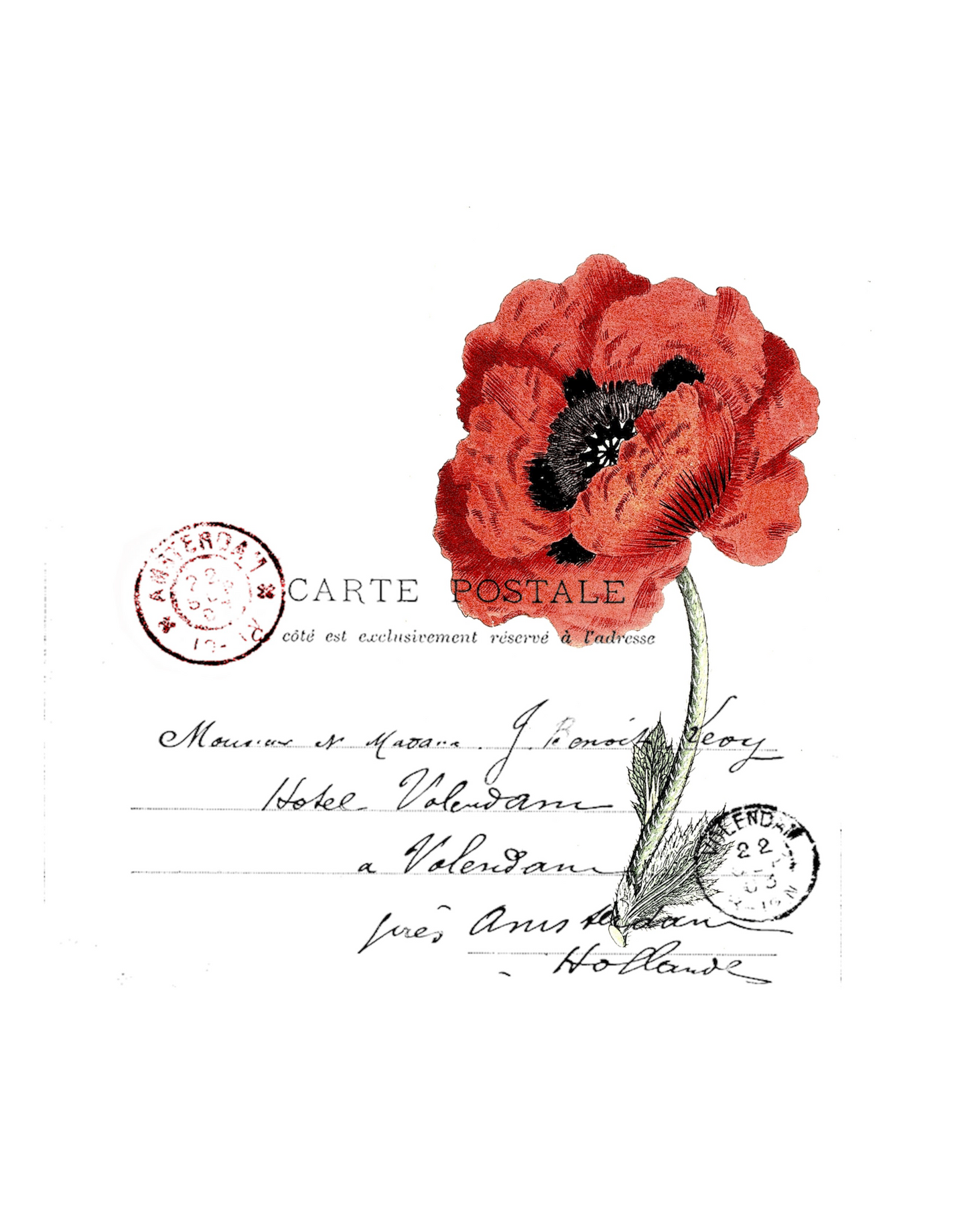 Red Poppy French Postcard Watercolor Wall Decor
