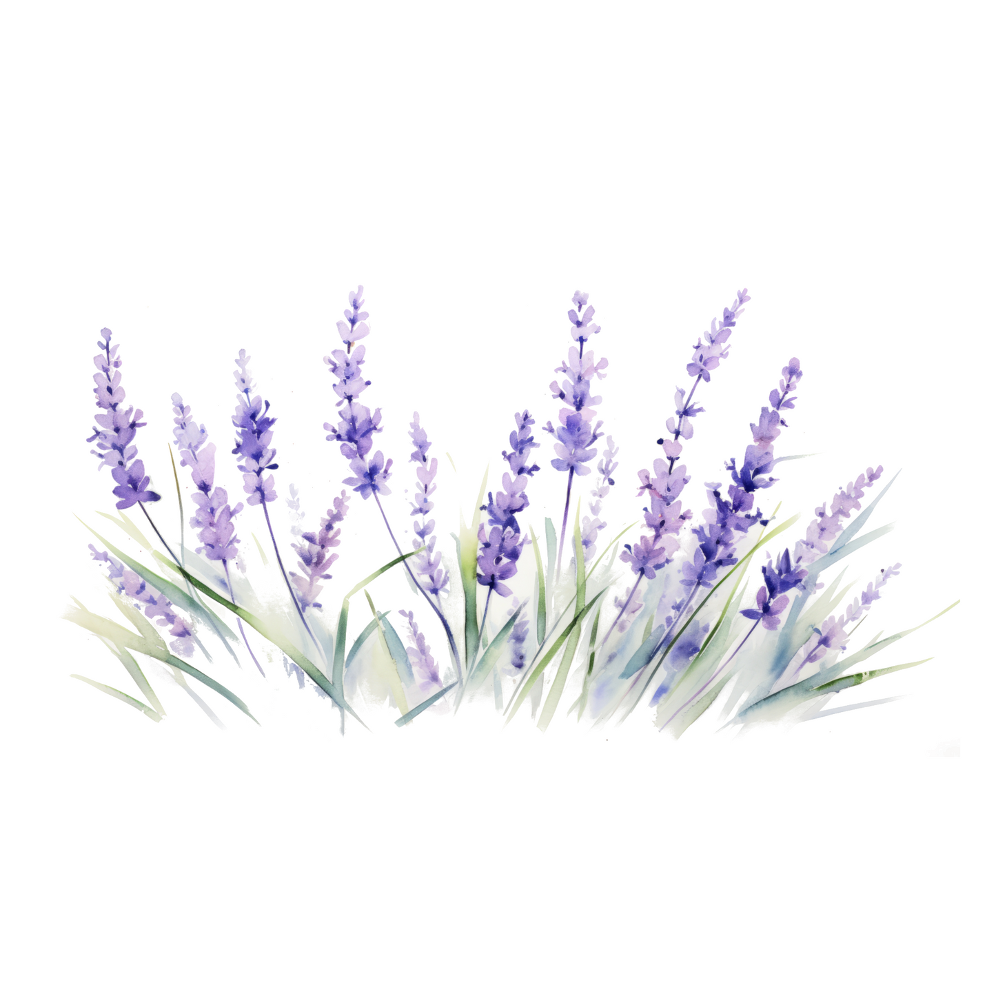 Lavender Border Flat Mini Note Cards