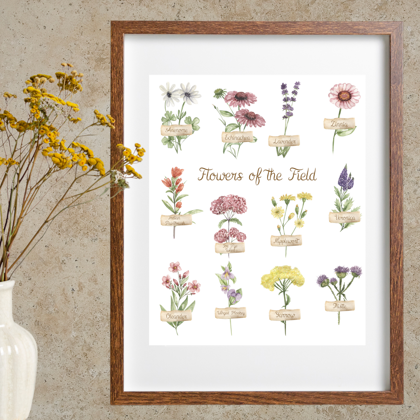 Wildflowers of the Field Botanical Wall Print