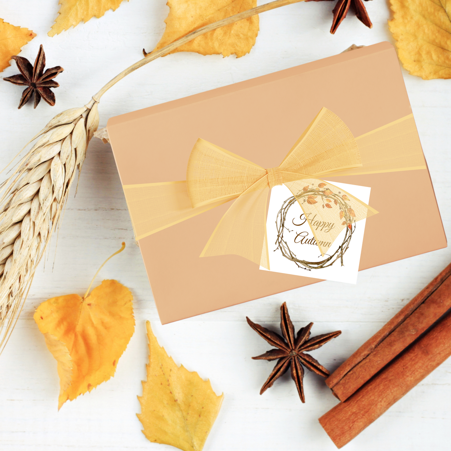 Autumn Grapevine Gift Enclosure Card
