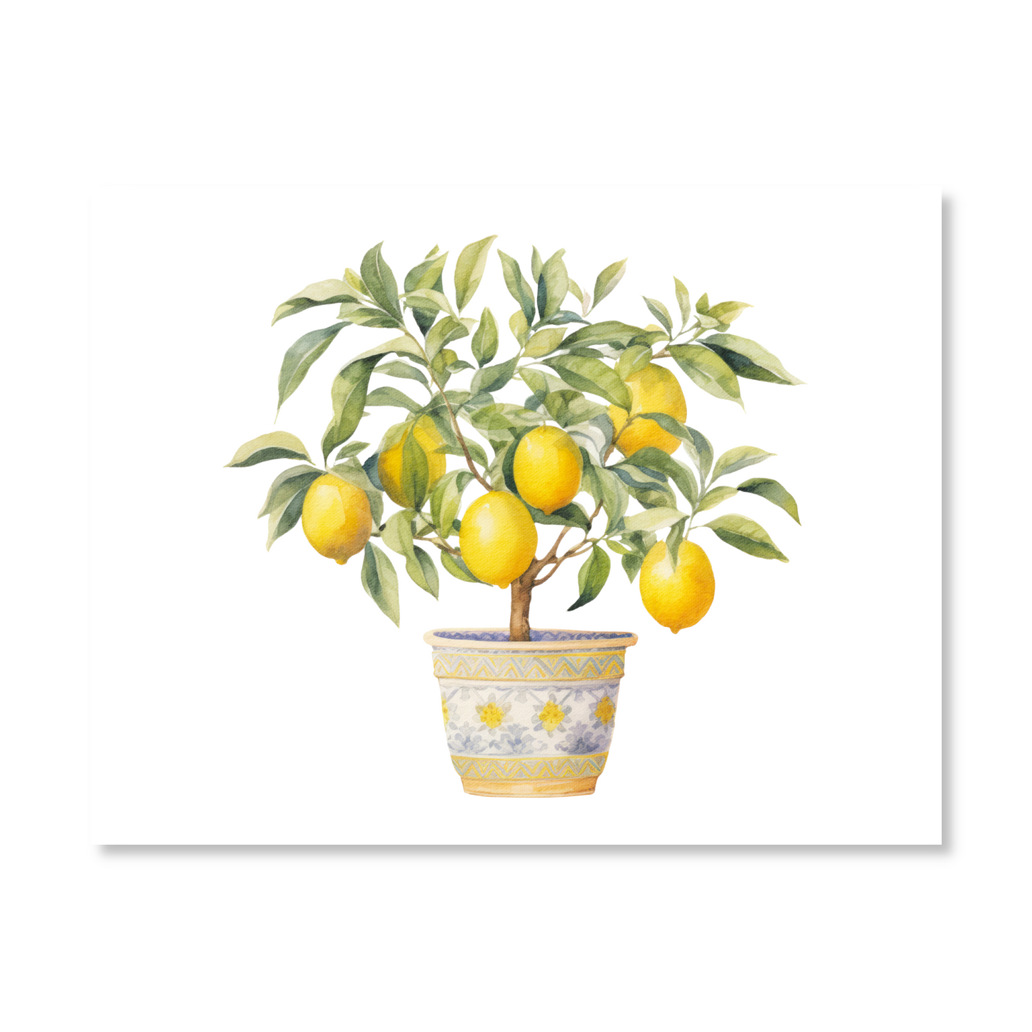 Lemon Trees Note Card Set