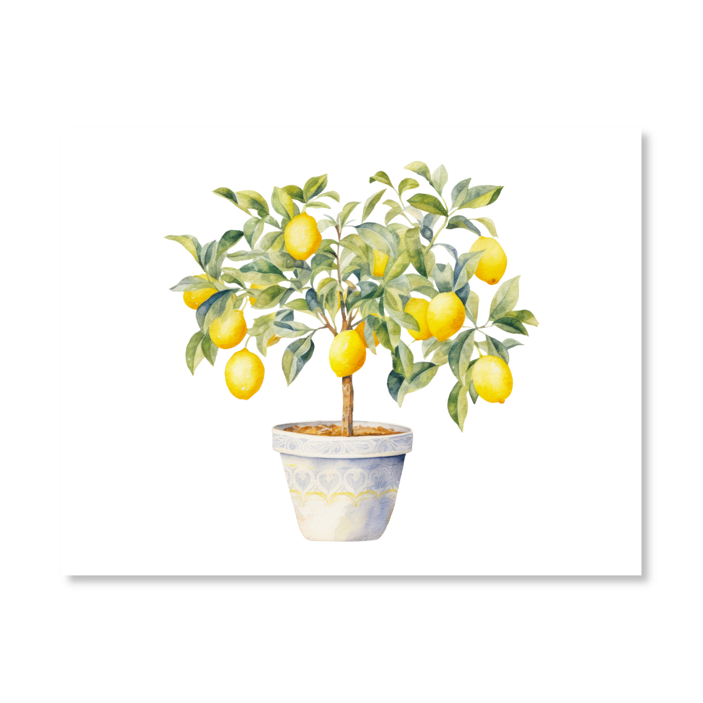 Lemon Trees Note Card Set