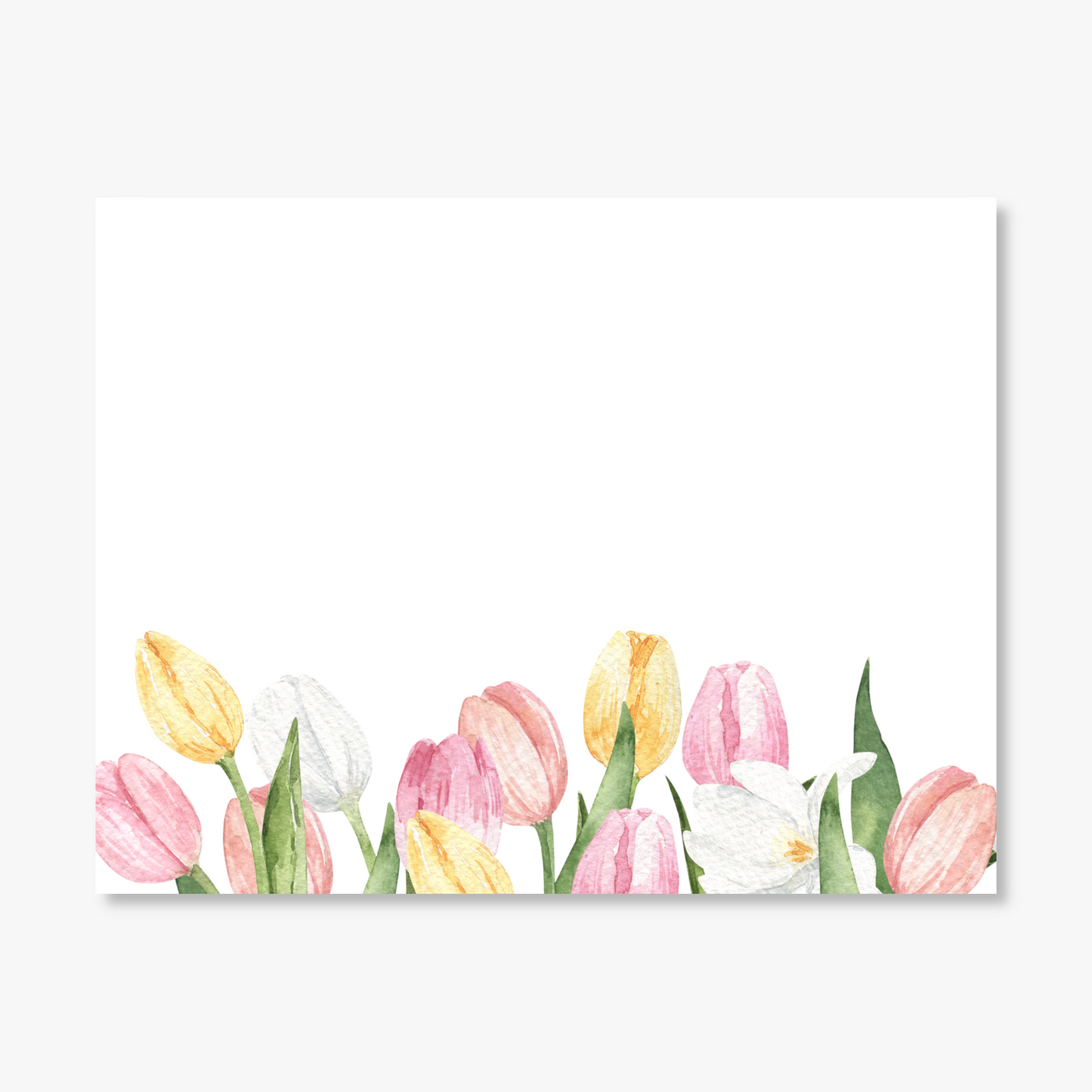 Pastel Tulip Border Flat Notes