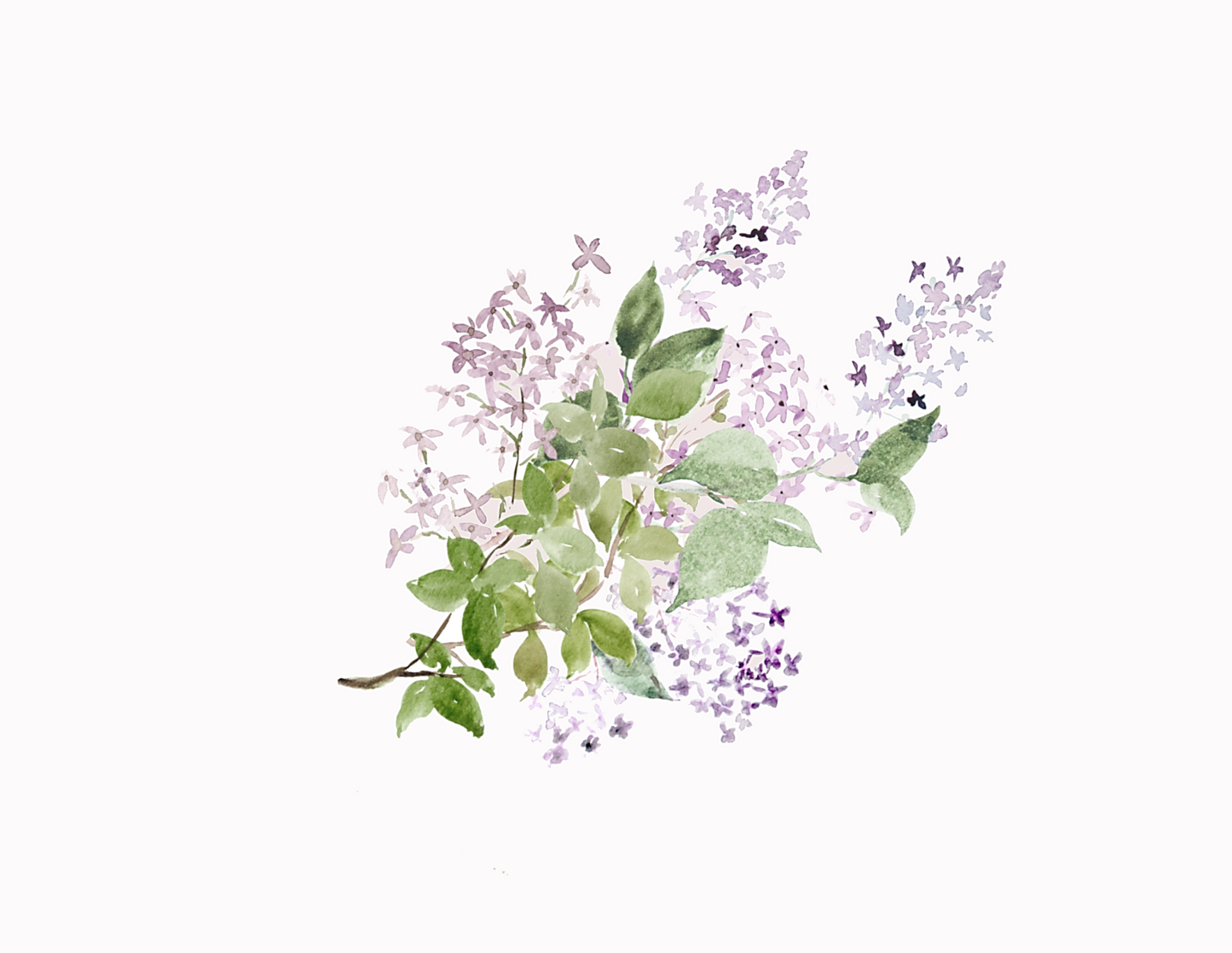 Lilac Bouquet Watercolor Note Cards