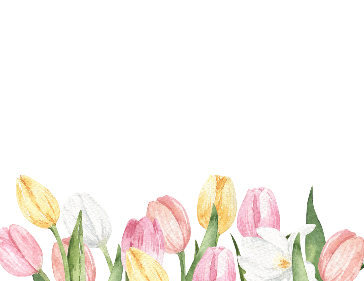 Pastel Tulip Border Flat Notes